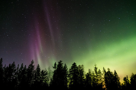 Aurora borealis in northern night sky © Aler