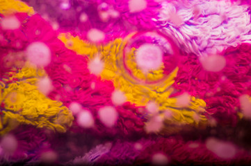 Oil on the surface of the water