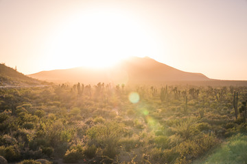 Beautiful landscape in the desert with sun flare