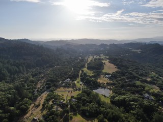 Aerial view of the verdant hills with trees in Napa Valley during summer season. Napa County, in California’s Wine Country, Part of the North Bay region of the San Francisco Bay Area. Vineyard area.