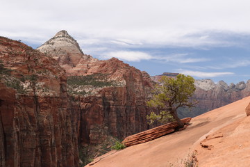 zion national park utah