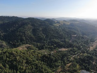 Aerial view of the verdant hills with trees in Napa Valley during summer season. Napa County, in California’s Wine Country, Part of the North Bay region of the San Francisco Bay Area. Vineyard area.