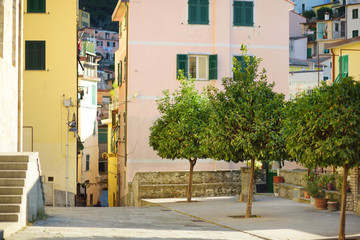 Naklejka premium Pastel houses of Riomaggiore, the largest of the five centuries-old villages of Cinque Terre, Italian Riviera, Liguria, Italy.