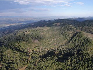 Aerial view of the verdant hills with trees in Napa Valley during summer season. Napa County, in California’s Wine Country, Part of the North Bay region of the San Francisco Bay Area. Vineyard area.