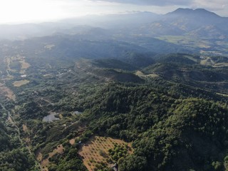 Fototapeta premium Aerial view of the verdant hills with trees in Napa Valley during summer season. Napa County, in California’s Wine Country, Part of the North Bay region of the San Francisco Bay Area. Vineyard area.