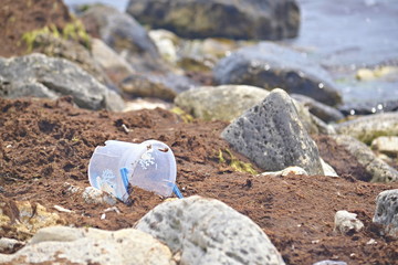 Polluted coastline with plastic, polyethylene, plastic bottles and trash, environmental issues, massive pollution of the oceans and seas, ecological disaster of the 21st century
