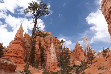 Bryce Canyon National Park, Utah