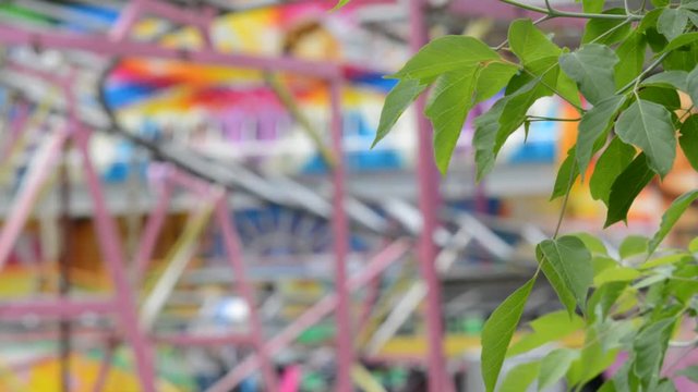 The branches of a tree on the background of an amusement park, the background is out of focus.