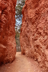 Bryce Canyon National Park