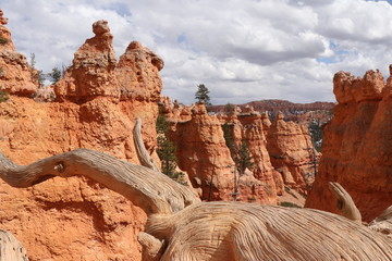 Road trip état unis , bryce canyon,utah