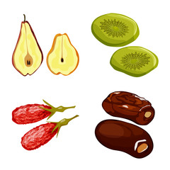 Vector design of fruit and dried  symbol. Set of fruit and food  stock vector illustration.