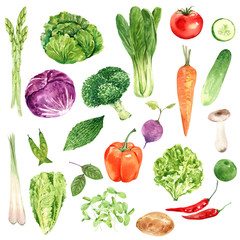  Vegetables for health lovers, watercolor