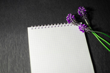 A notepad with field flowers on a black background