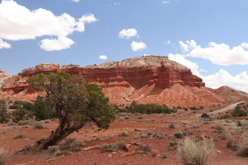 Paysage de capitol reef national park, road trip état unis,utah