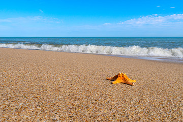 Fototapeta na wymiar Beach and sea with azure water, summer relax