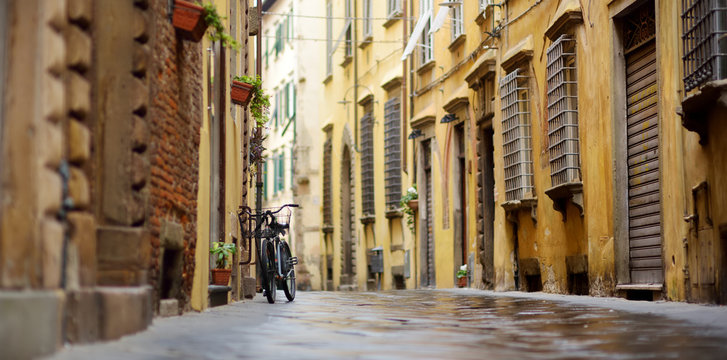 Fototapeta Bicycles parked on beautiful medieval streets of Lucca city, Tuscany, Italy.