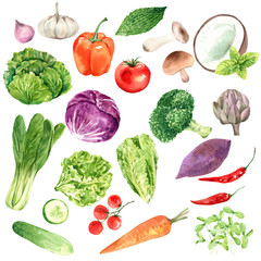  Vegetables for health lovers, watercolor painting