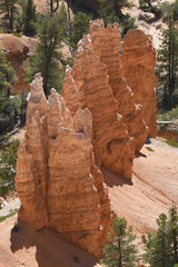 landscape on the bryce canyon in the united states of america