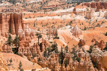 landscape on the bryce canyon in the united states of america