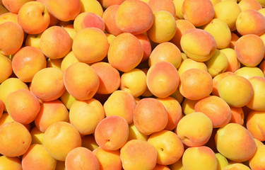 fresh apricots in the market and background