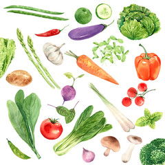  Vegetables for health lovers,  watercolor painting