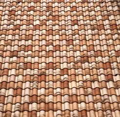 Toit bourguignon traditionnel à Autun, France