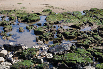 Rock pools on  coast at Scarborough, Yorkshire, UK