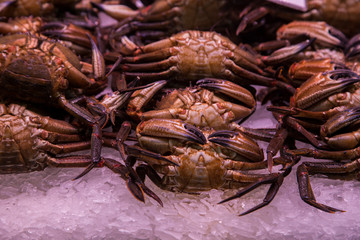 Purple crabs on a shelf of the central market
