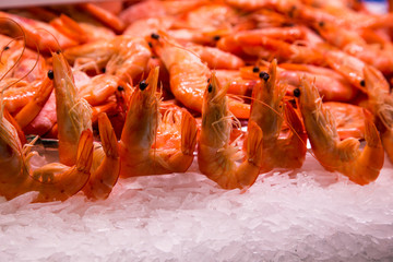 Good prawns on a shelf in the central market