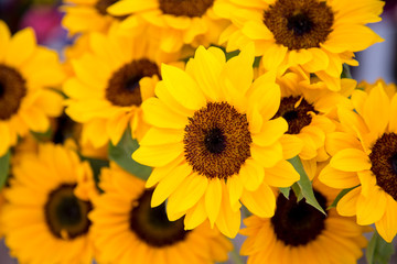 Bunch of sunflowers