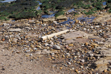 Rock pools on  coast at Scarborough, Yorkshire, UK