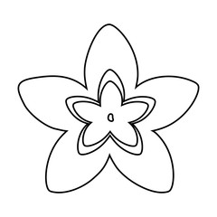 Fototapeta na wymiar Tropical flower and petals nature cartoon in black and white