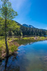 Mountain Lake with Blue Sky in British Columbia, Canada.