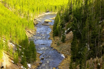 River in Yellowstone National Park