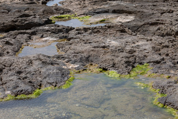 Rocky sea shore