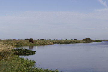 landscape with river