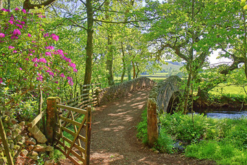 An ancient stone pack horse bridge over a river in the English Lake District