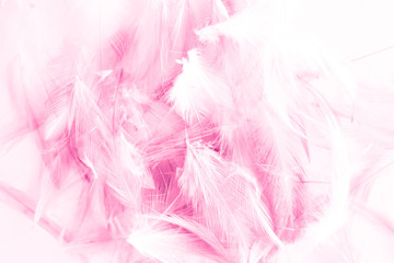 Beautiful abstract colorful white and pink light feathers wall pattern textures background and wallpaper art