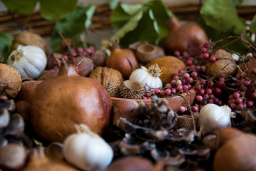 still life with autumn nuts