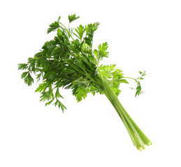 Bunch of fresh green parsley on white background