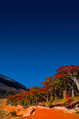 Wonderful view at Torres del Paine National Park in golden Autumn, Patagonia, Chile