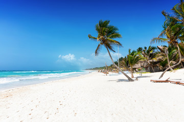 Palmen am karibischen Strand von Tulum, Riviera Maya, Mexiko