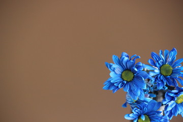 blue flowers with space for text