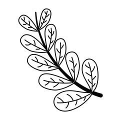 nature outdoor leaves environment cartoon