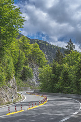 curvy asphalt road in the forest at alps