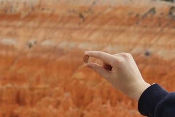 hand with little rock in bryce canyon