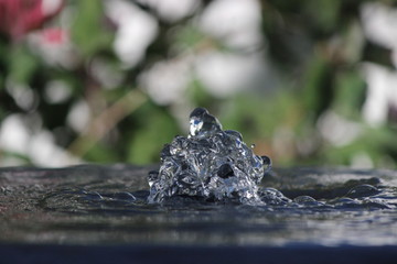 water fountain