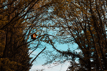 quiet and natural living space