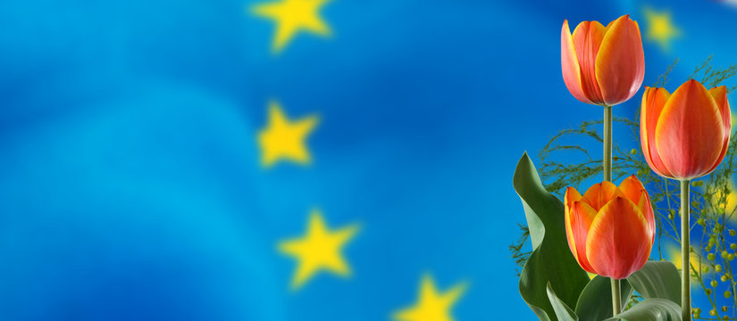 image festive flowers on flag of the European Union background