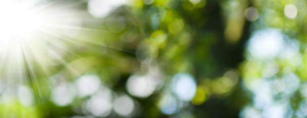 Fototapeta premium image of beautiful abstract natural background.